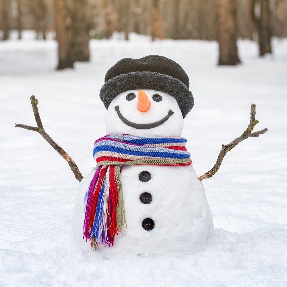 winter wonderland slider image